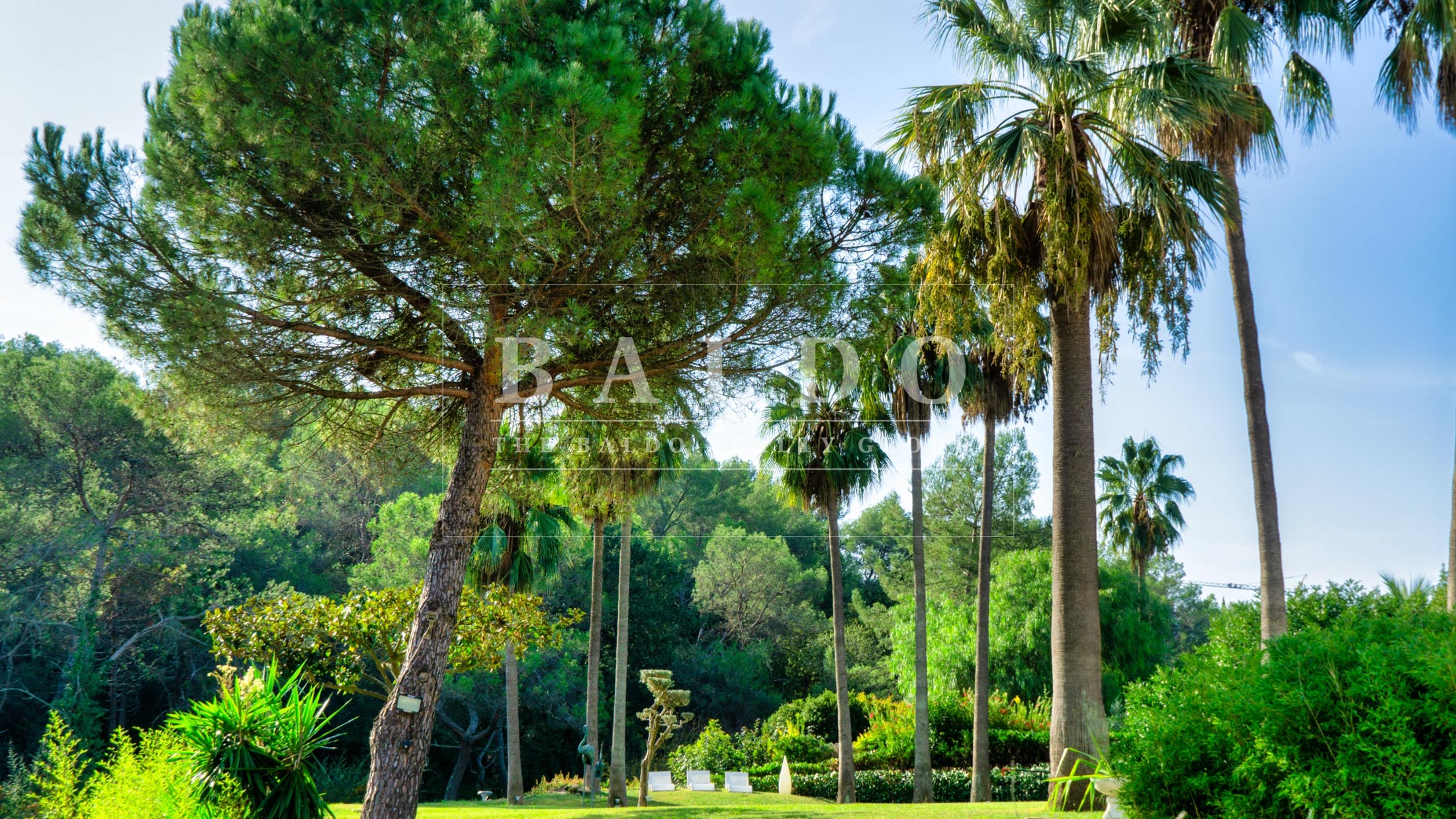 mougins_web_15